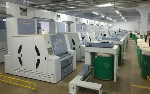 梳棉附加分梳元件的發展 分析和探討