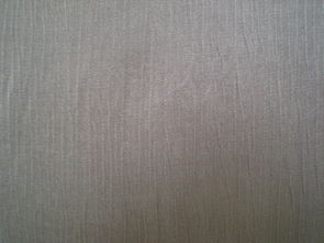 針織人絲單雙面 杭州正乙紡織品