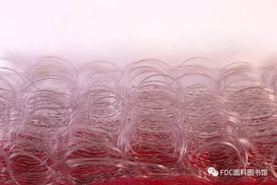 編織機理與紡織品設計靈感的融合之旅